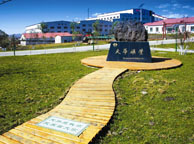 亳州天华矿业集团