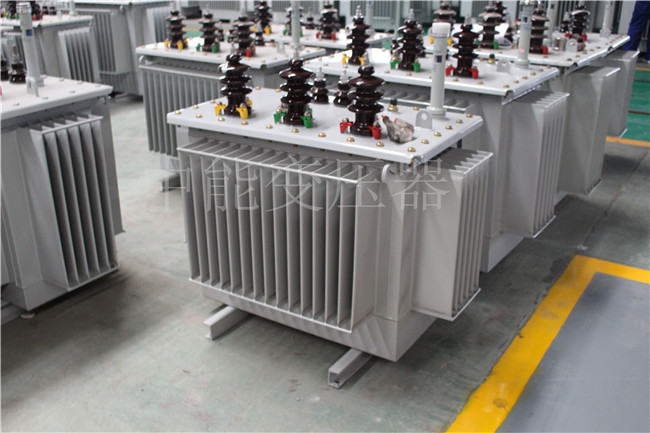 亳州S22-100KVA/10KV/0.4KV变压器